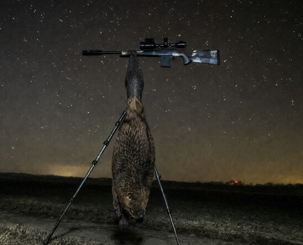 silentaf hunting at night