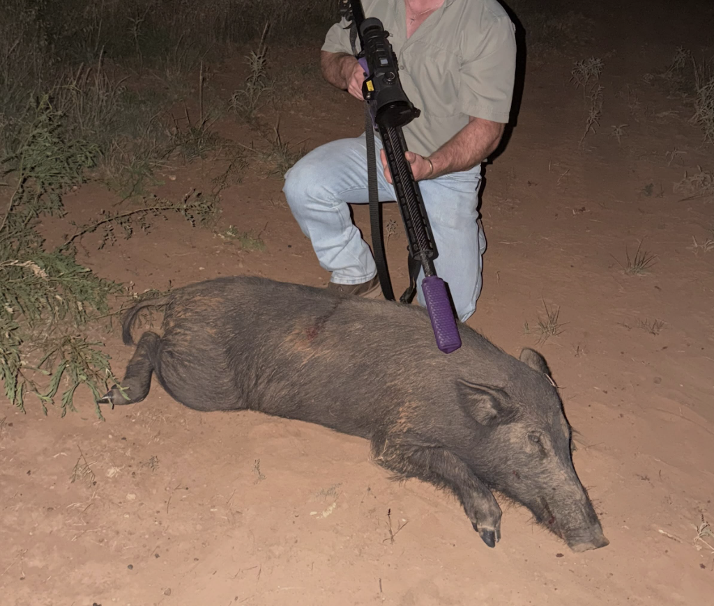 hog hunting in texas