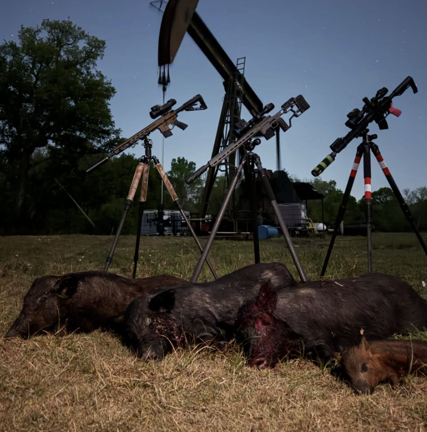 hog hunting in texas